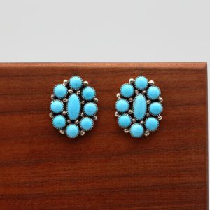 Zuni Sleeping Beauty Turquoise Earrings